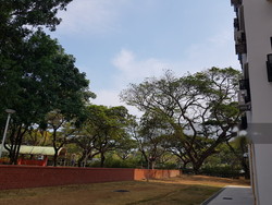 Blk 29 Marine Crescent (Marine Parade), HDB 5 Rooms #199475702